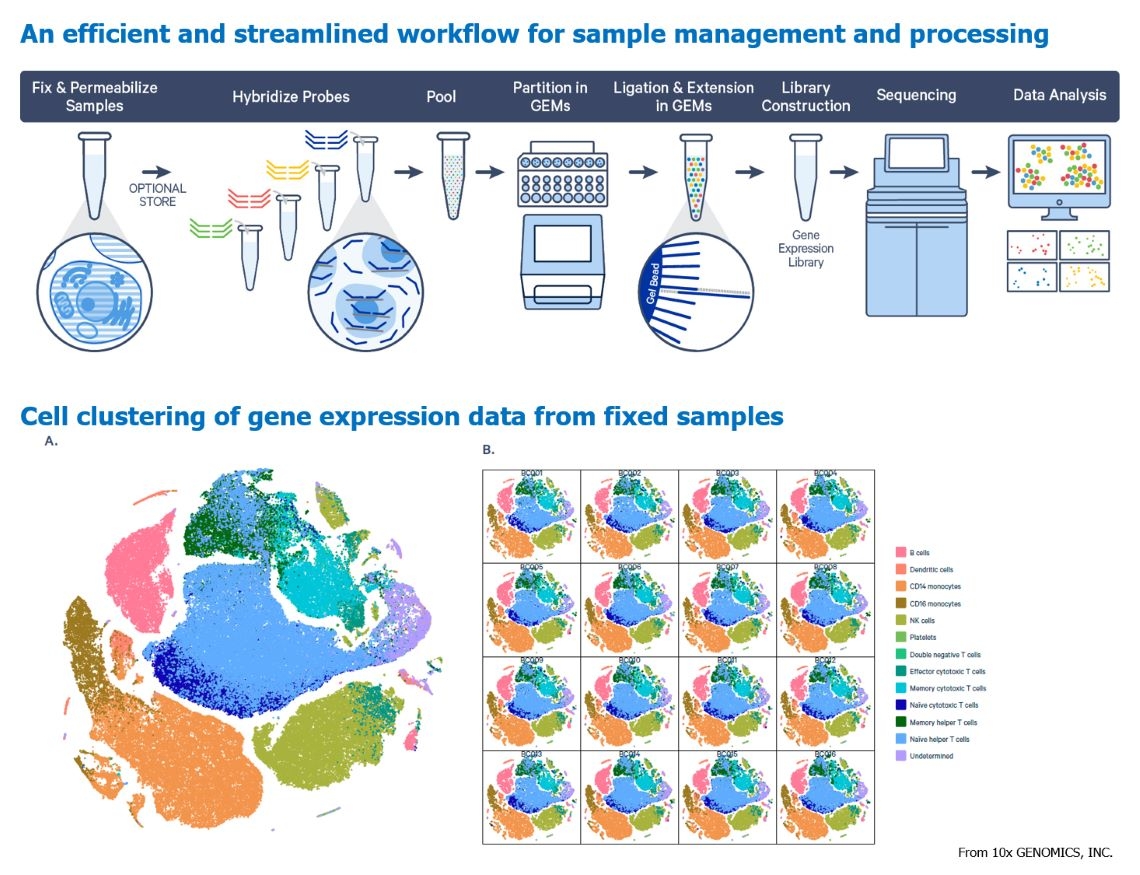 源資國際生物科技